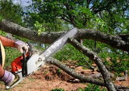 Mulching Services in Lebanon South, PA